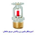 اسپرینکلر پایین زن واکنش سریع شاهان